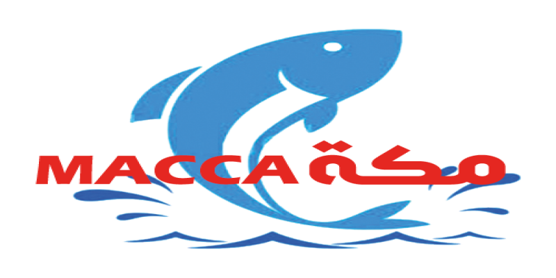 hassankhalaf company4_image